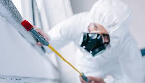 Best Termite Inspection and Treatment  in Sparta, IL